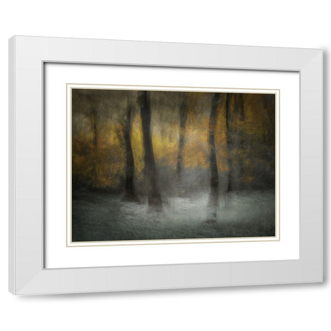 Dancing Trees White Modern Wood Framed Art Print with Double Matting by Talen, Nel