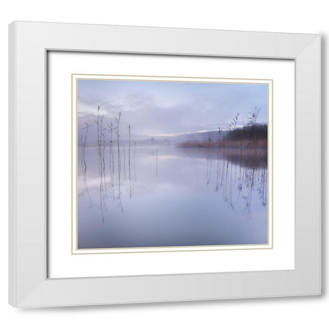 Untitled White Modern Wood Framed Art Print with Double Matting by Ahern, David