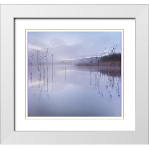 Untitled White Modern Wood Framed Art Print with Double Matting by Ahern, David