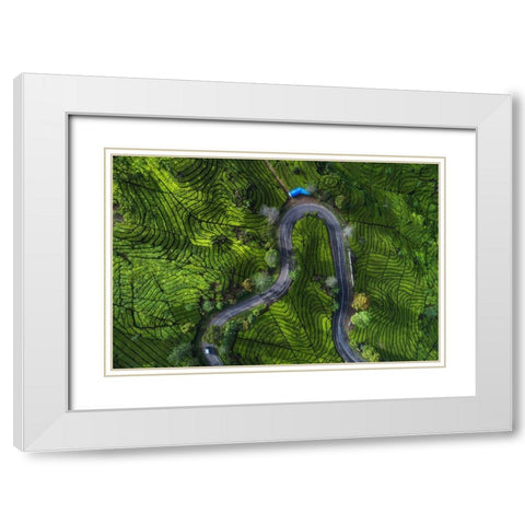Indonesia - Rancabali Tea Aerial White Modern Wood Framed Art Print with Double Matting by Claude Castor, Jean