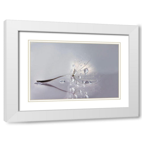 Silver White Modern Wood Framed Art Print with Double Matting by Barbieri, Rina