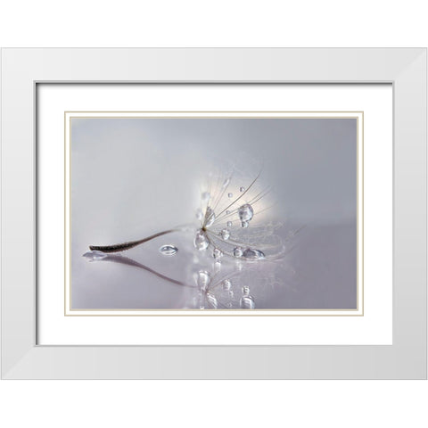 Silver White Modern Wood Framed Art Print with Double Matting by Barbieri, Rina