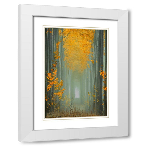 Misty Autumn Path White Modern Wood Framed Art Print with Double Matting by Jacobs, Lydia