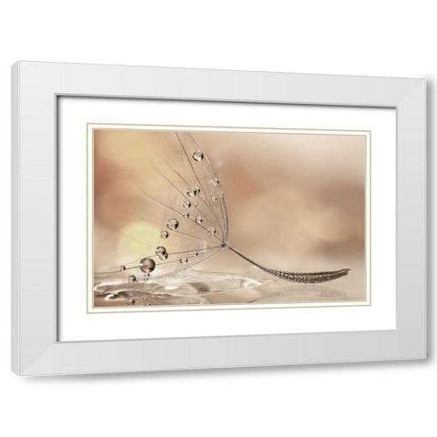 Prestige White Modern Wood Framed Art Print with Double Matting by Barbieri, Rina