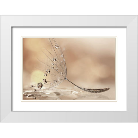 Prestige White Modern Wood Framed Art Print with Double Matting by Barbieri, Rina