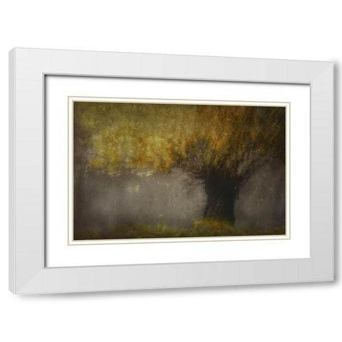 Pollard Willow White Modern Wood Framed Art Print with Double Matting by Talen, Nel