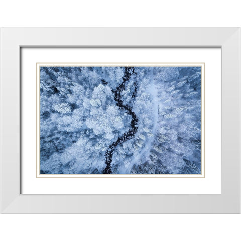A Freezing Cold Beauty White Modern Wood Framed Art Print with Double Matting by Gastager, Daniel