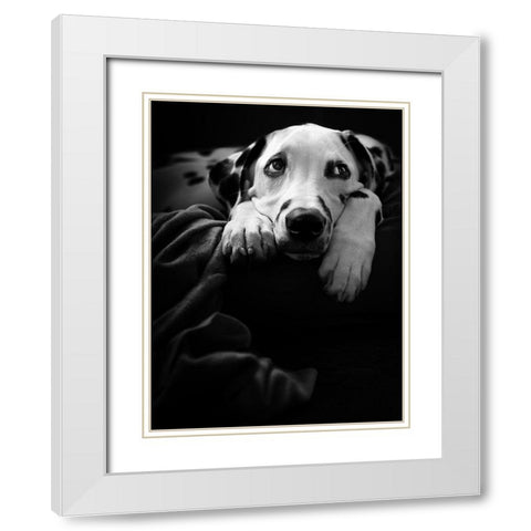 Nothing Is Happening :-( White Modern Wood Framed Art Print with Double Matting by Scherhag, Ute