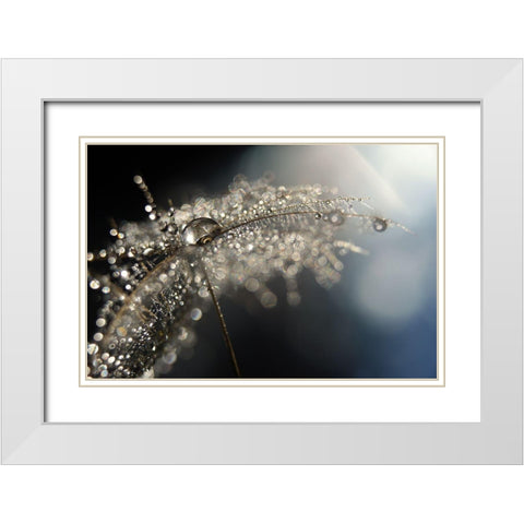 Reflection Explotion White Modern Wood Framed Art Print with Double Matting by Westum, Heidi