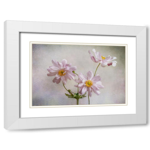 Anemones White Modern Wood Framed Art Print with Double Matting by Disher, Mandy