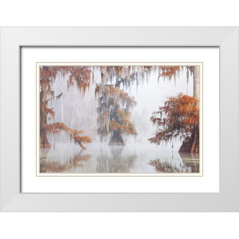 Mysty Bayou White Modern Wood Framed Art Print with Double Matting by Marchegiani, Roberto