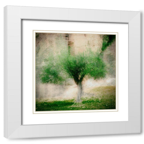 The Olive Tree White Modern Wood Framed Art Print with Double Matting by Van Bijnen, Jacqueline