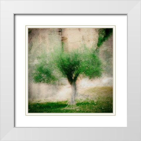 The Olive Tree White Modern Wood Framed Art Print with Double Matting by Van Bijnen, Jacqueline