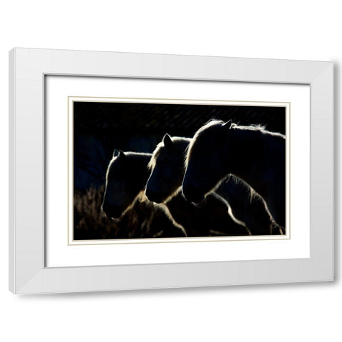 Horses (Colored Version) White Modern Wood Framed Art Print with Double Matting by Romaggi, Michel