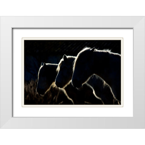 Horses (Colored Version) White Modern Wood Framed Art Print with Double Matting by Romaggi, Michel
