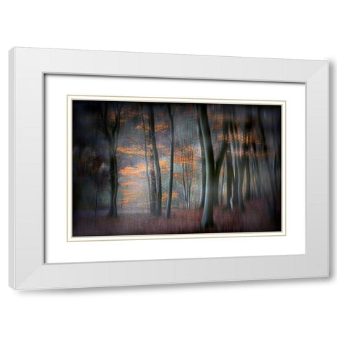 Enchanted Forest White Modern Wood Framed Art Print with Double Matting by Romaggi, Michel
