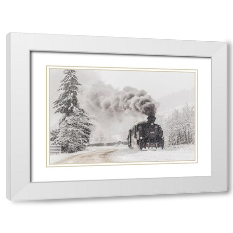 Winter Story White Modern Wood Framed Art Print with Double Matting by Dorin Lucian, Sveduneac