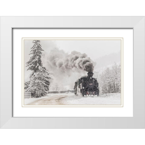 Winter Story White Modern Wood Framed Art Print with Double Matting by Dorin Lucian, Sveduneac