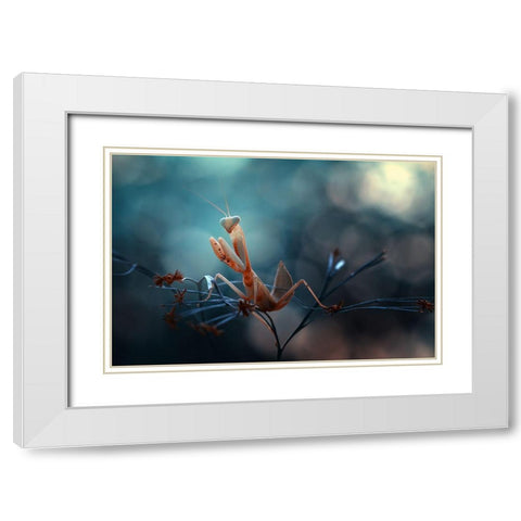 Praying Mantis White Modern Wood Framed Art Print with Double Matting by Gapur Dayak, Abdul