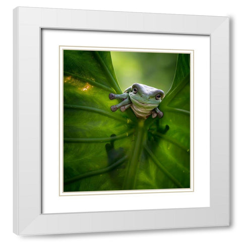 Peek A Boo White Modern Wood Framed Art Print with Double Matting by Maududdin, Fauzan