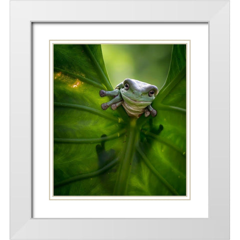 Peek A Boo White Modern Wood Framed Art Print with Double Matting by Maududdin, Fauzan
