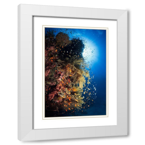 Life Explosion White Modern Wood Framed Art Print with Double Matting by Gabriel, Barathieu