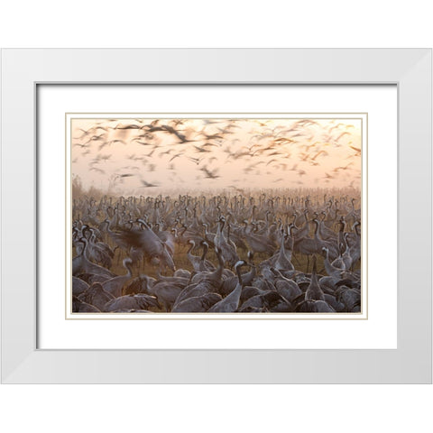 The Mass White Modern Wood Framed Art Print with Double Matting by Eichelberg, Amnon
