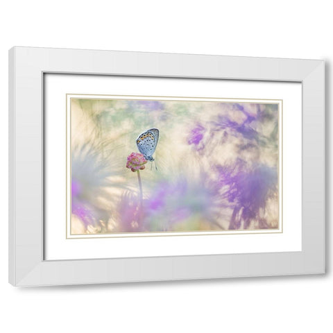 Pulsatilla Meadow White Modern Wood Framed Art Print with Double Matting by Spranz, Henrik