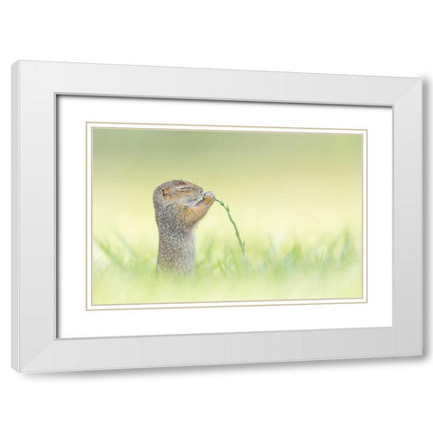 Nosing White Modern Wood Framed Art Print with Double Matting by Spranz, Henrik