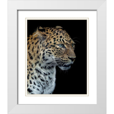 Panthere Portrait Version 2.0 White Modern Wood Framed Art Print with Double Matting by Lothare Dambreville, Laurent