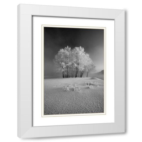 The First Snow White Modern Wood Framed Art Print with Double Matting by Mierzejewski, Krzysztof