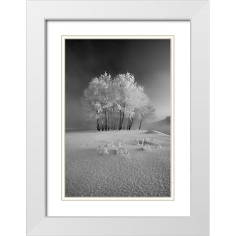 The First Snow White Modern Wood Framed Art Print with Double Matting by Mierzejewski, Krzysztof