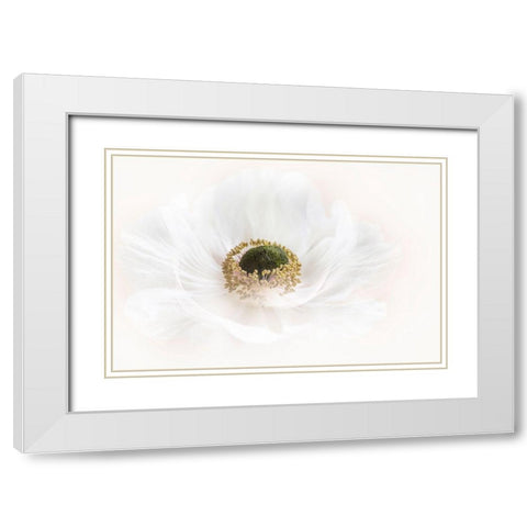Pure White Modern Wood Framed Art Print with Double Matting by Parker, Jacky