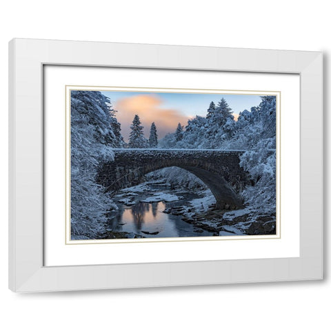 Highlands Bridge White Modern Wood Framed Art Print with Double Matting by Darby, Rob