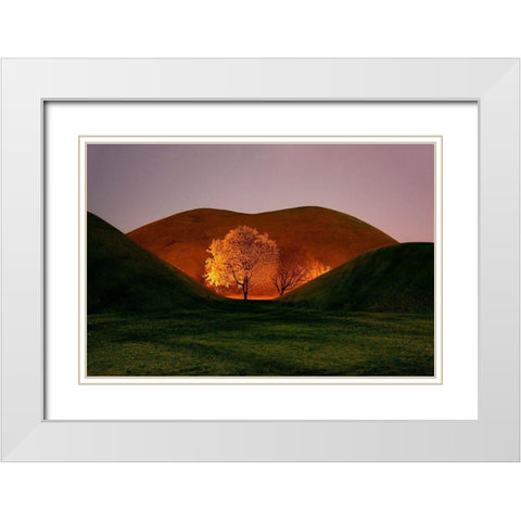 Magnolia White Modern Wood Framed Art Print with Double Matting by Namkoong, Bongok