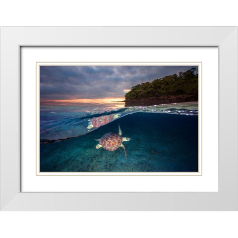 Green Turtle With Sunset White Modern Wood Framed Art Print with Double Matting by Gabriel, Barathieu
