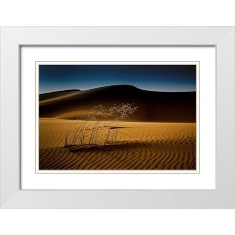Seedasand White Modern Wood Framed Art Print with Double Matting by Inderst, Rainer