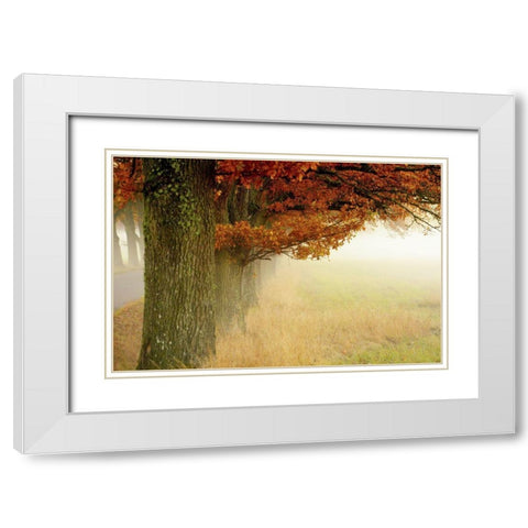Autumn Fog White Modern Wood Framed Art Print with Double Matting by Sillen, Christina