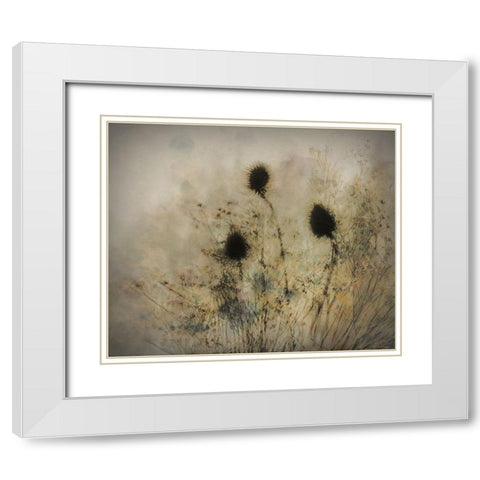 Seed Boxes White Modern Wood Framed Art Print with Double Matting by Talen, Nel