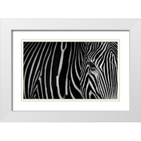 Stripes White Modern Wood Framed Art Print with Double Matting by Saavedra Ruiz, Sergio