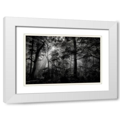 Primary Forest White Modern Wood Framed Art Print with Double Matting by Guillemot, Mathilde