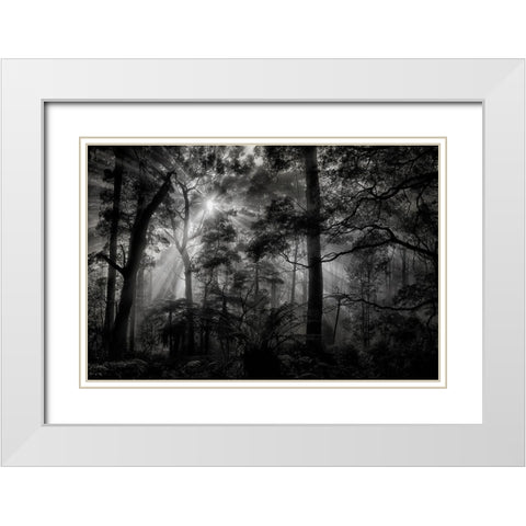 Primary Forest White Modern Wood Framed Art Print with Double Matting by Guillemot, Mathilde
