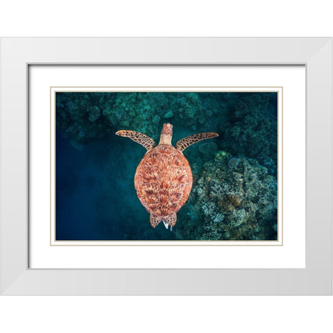 Flying Over The Reef White Modern Wood Framed Art Print with Double Matting by Gabriel, Barathieu