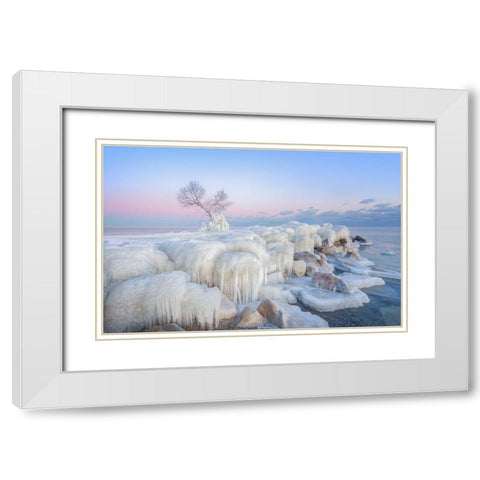 Ice Wonderland White Modern Wood Framed Art Print with Double Matting by Deng, Larry
