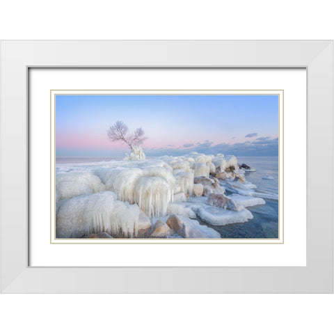 Ice Wonderland White Modern Wood Framed Art Print with Double Matting by Deng, Larry