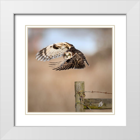 I See You! White Modern Wood Framed Art Print with Double Matting by Wong, Fion