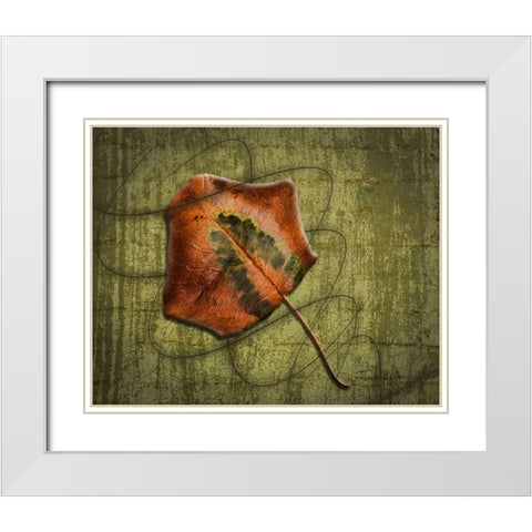 Single Leaf Swirl 1 White Modern Wood Framed Art Print with Double Matting by H. Bowen, Sherry