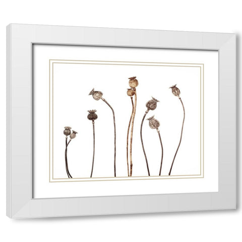Poppies White Modern Wood Framed Art Print with Double Matting by Gronkjar, Lotte