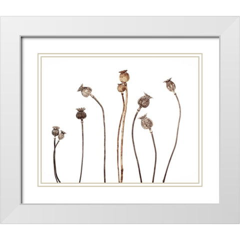 Poppies White Modern Wood Framed Art Print with Double Matting by Gronkjar, Lotte