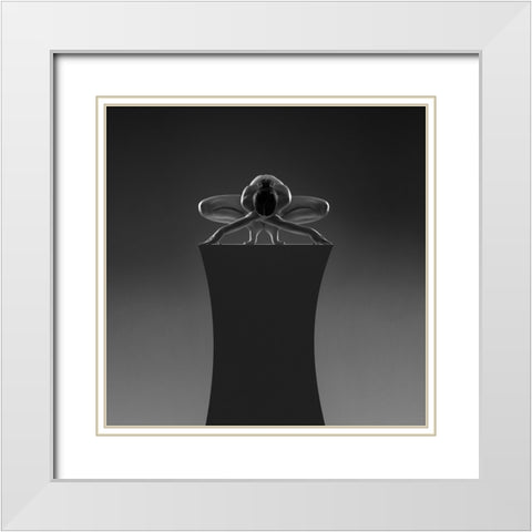 Box 3 White Modern Wood Framed Art Print with Double Matting by Birkhofer, Bruno